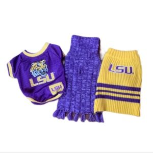 Purple and Gold XS Doggy Bundle